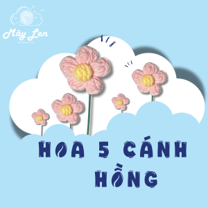 hoa hồng 5 cánh