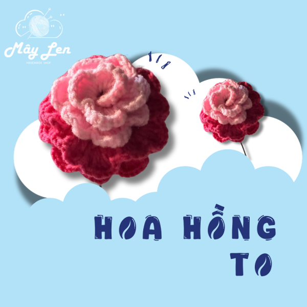 hoa hồng to